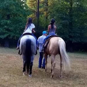 Meet your Posher, Eddie